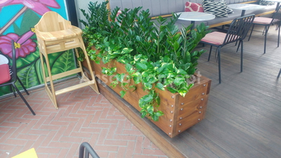 AHŞAP RESTORAN SAKSISI