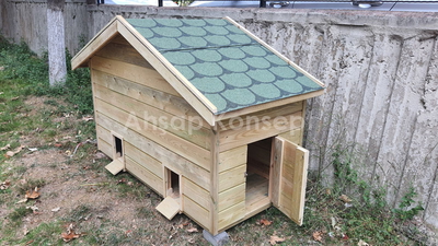 KEDİ EVİ İSTANBUL GÖZTEPE