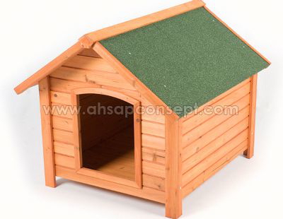 KÖPEK KULÜBESİ-11